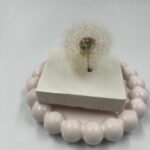 White Dandelions