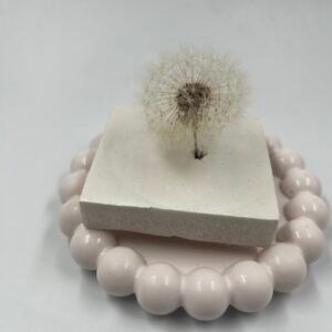 White Dandelions